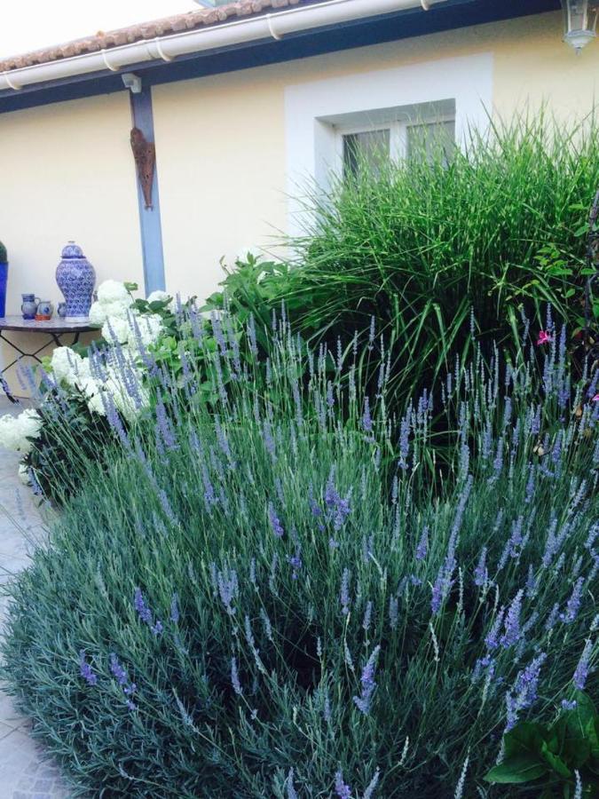 La Maison De Lilly Αρασόν Εξωτερικό φωτογραφία